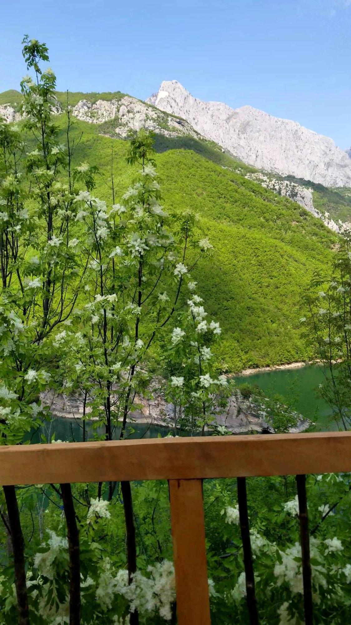 Twin Villas Komani Lake Экстерьер фото